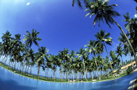 Шри-Ланка, пляжные туры